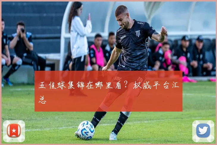 五佳球集锦在哪里看？权威平台汇总